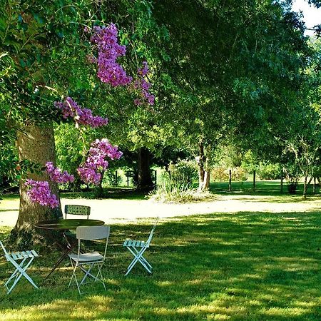 Chambres D'Hotes Villa Lortin Pouillon ภายนอก รูปภาพ
