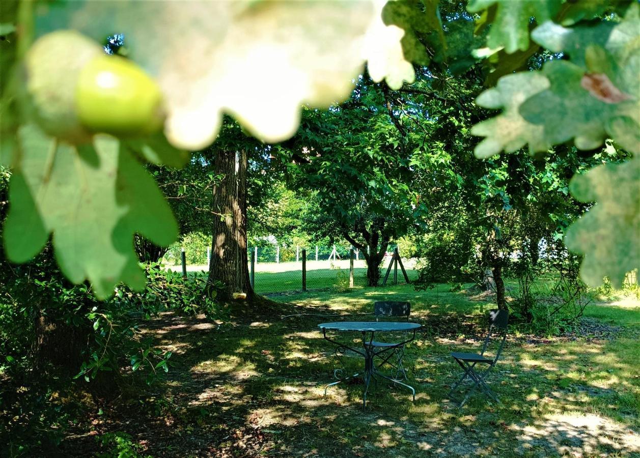 Chambres D'Hotes Villa Lortin Pouillon ภายนอก รูปภาพ